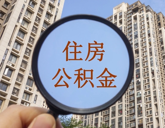 新乡退休后查不到公积金明细了吗（退休后公积金查询不到原因）
